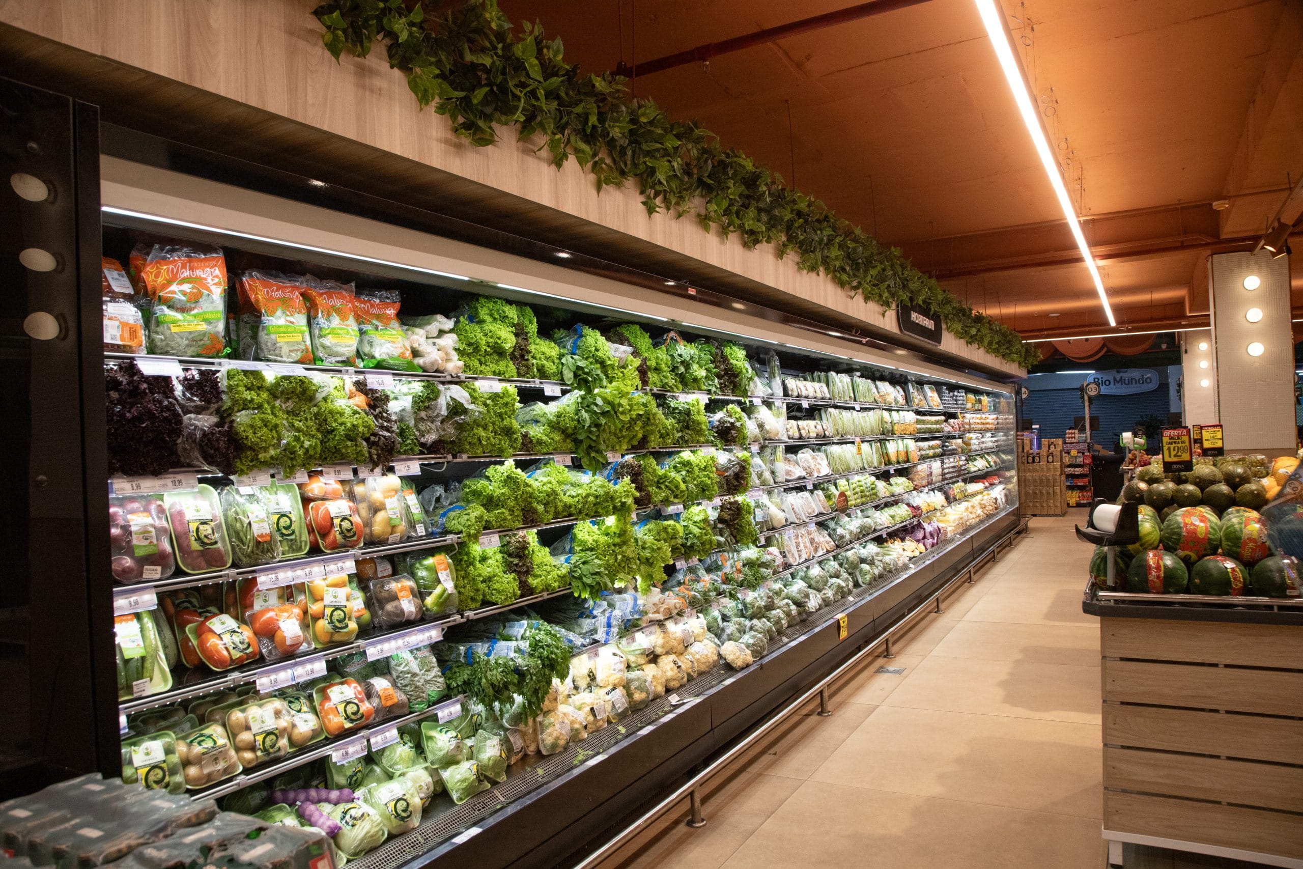 10 alimentos saudáveis para você incluir na sua rotina