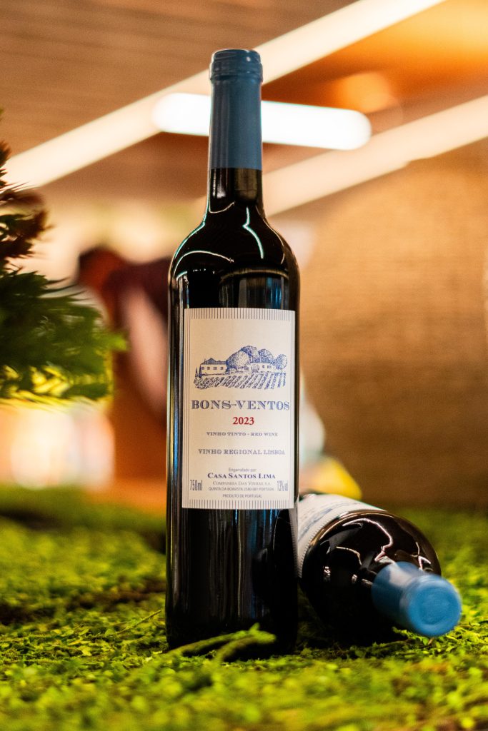 dica-de-vinho