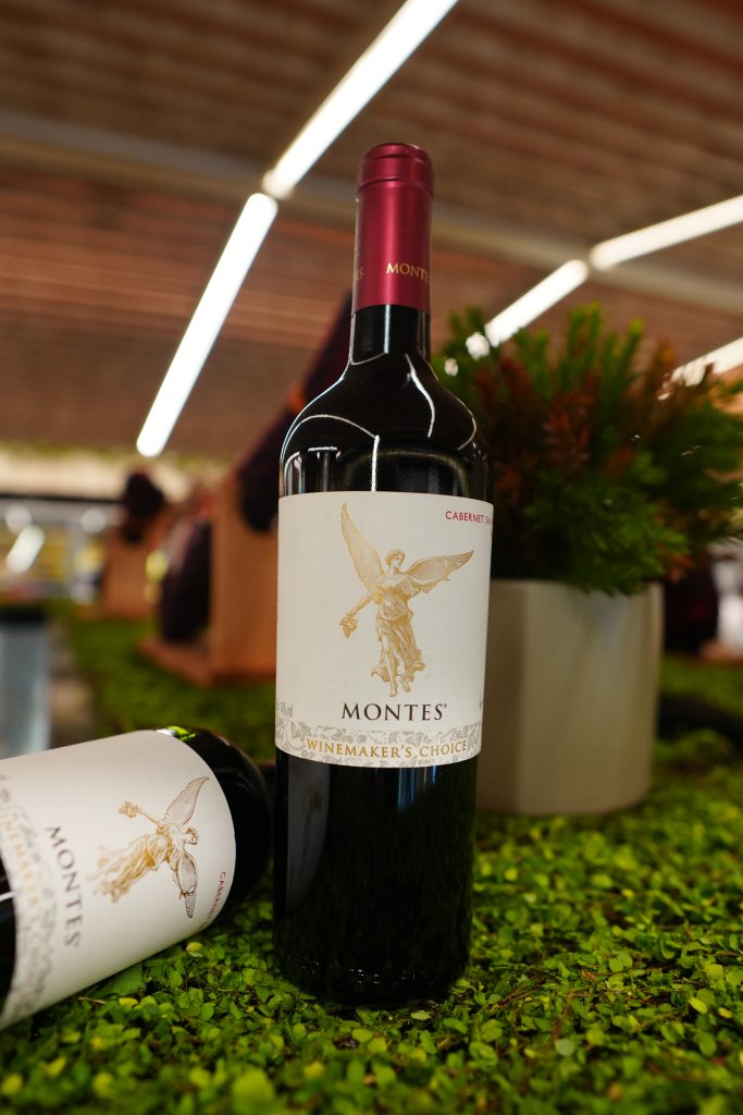 Dica de vinho