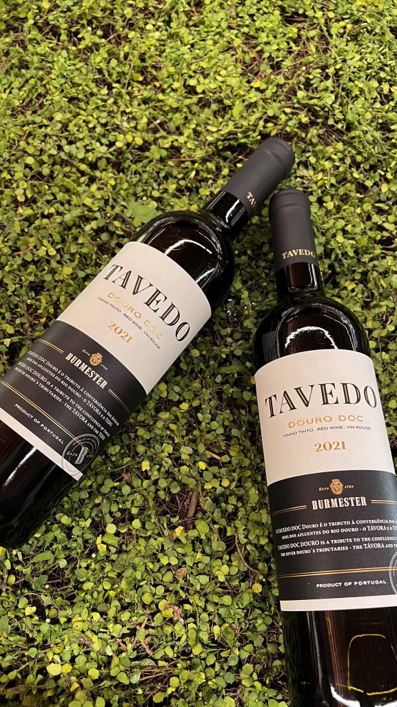 dica-de-vinho