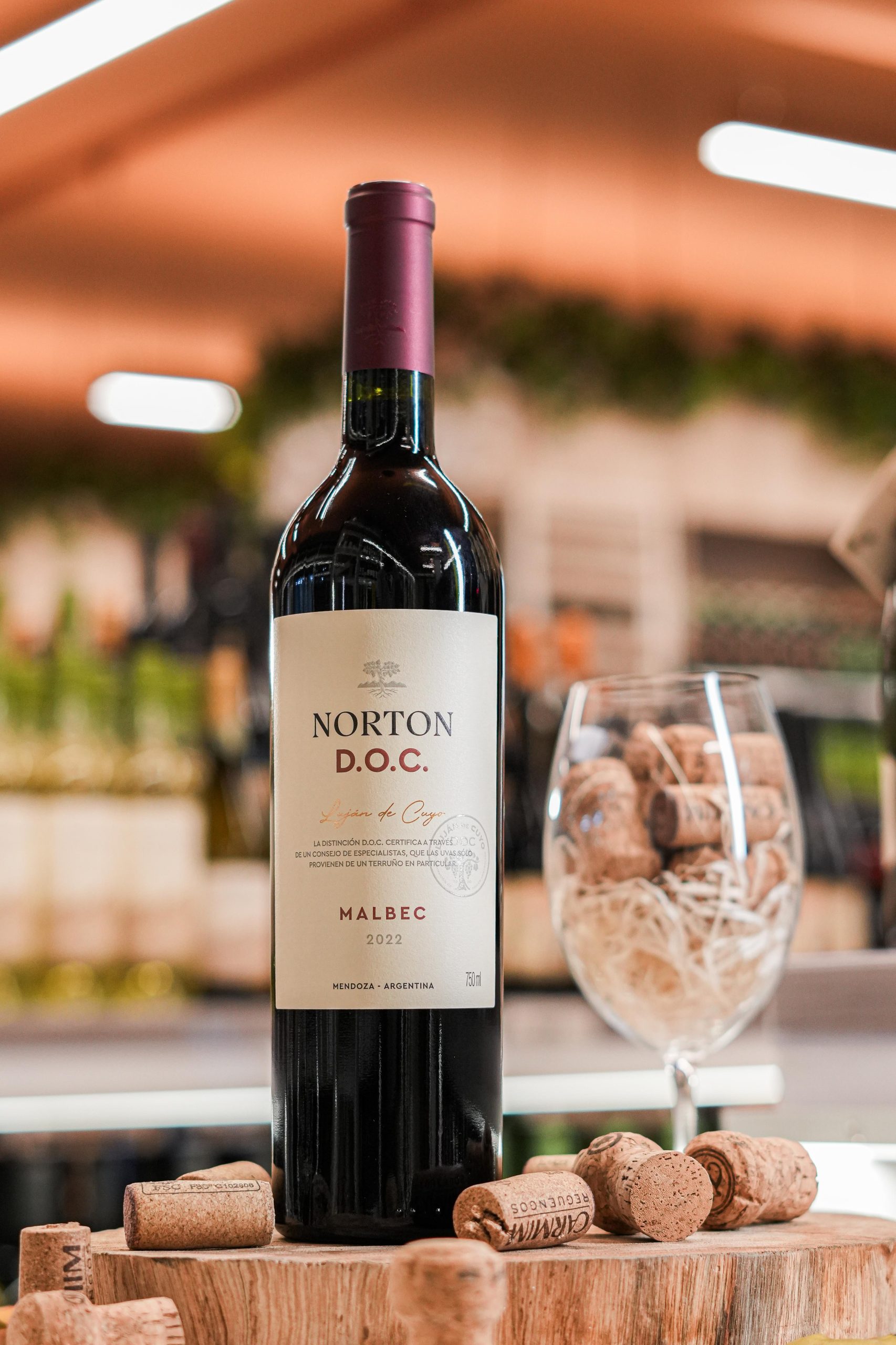 dica-de-vinho
