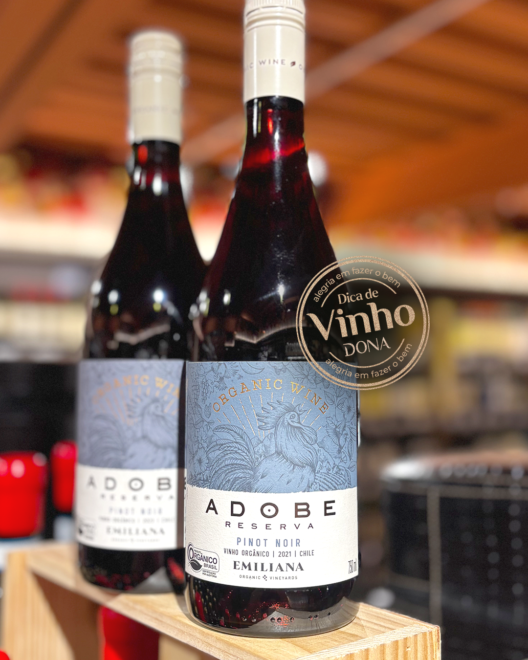 dica-de-vinho